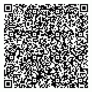 vCard 79397100881