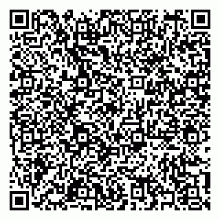 vCard 79397100883