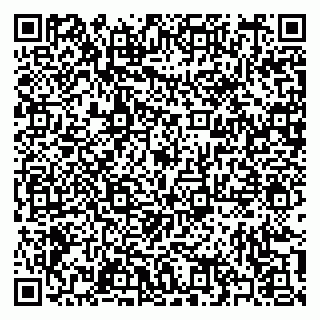 vCard 79397100893