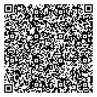 vCard 79397100894