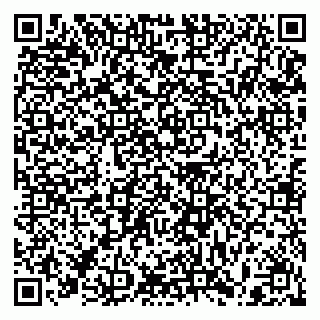 vCard 79397100903