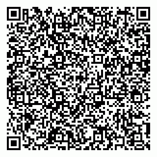 vCard 79397100917
