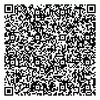 vCard 79397100919