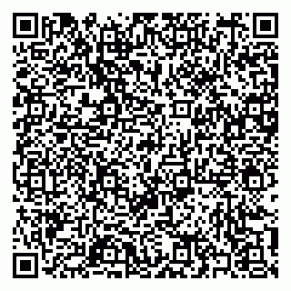 vCard 79397100923