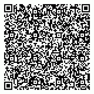 vCard 79397100924