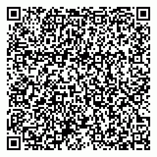 vCard 79397100930