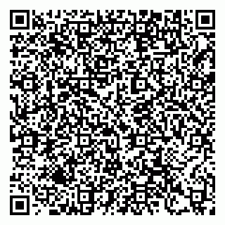 vCard 79397100933
