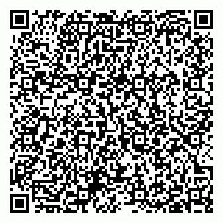 vCard 79397100935
