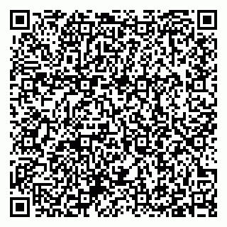 vCard 79397100939