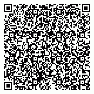 vCard 79397100963