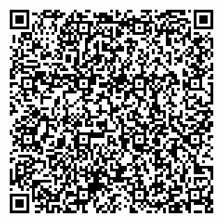 vCard 79397100987