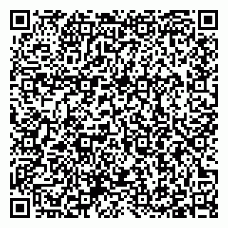 vCard 79397100993