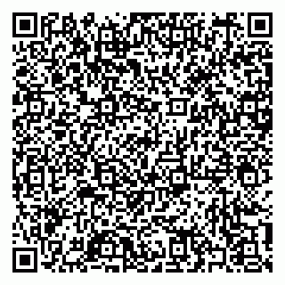 vCard 79397101021