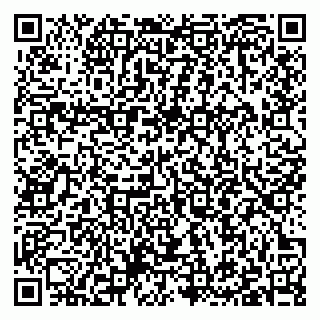 vCard 79397101029