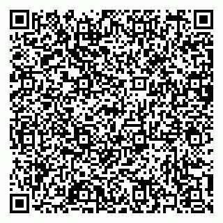 vCard 79397101037