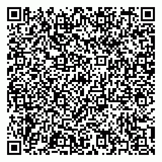 vCard 79397101100