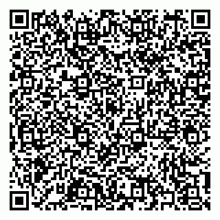 vCard 79397101140