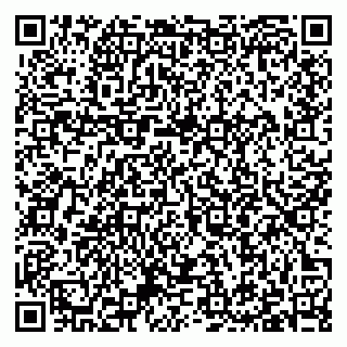 vCard 79397101173