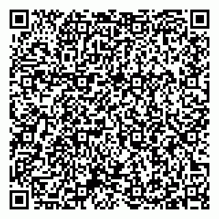 vCard 79397101193