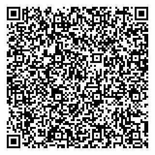 vCard 79397101217