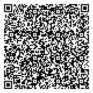 vCard 79397101285