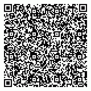 vCard 79397101295