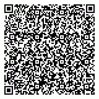 vCard 79397101311