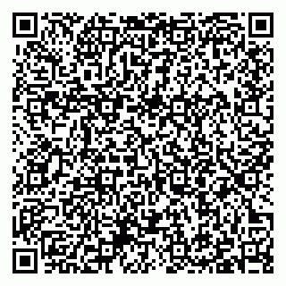 vCard 79397101312