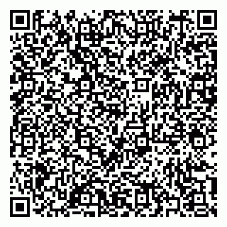 vCard 79397101313