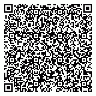 vCard 79397101317