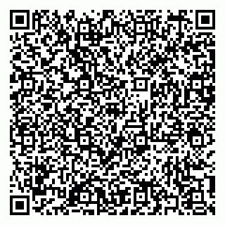 vCard 79397101319