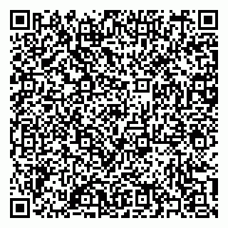 vCard 79397101321