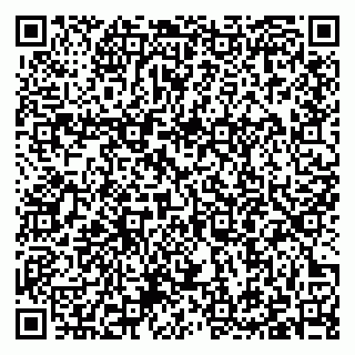 vCard 79397101330