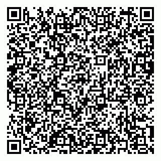 vCard 79397101331