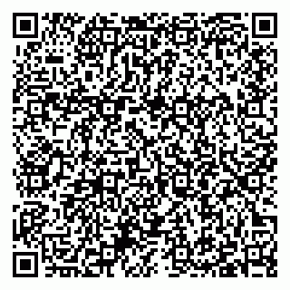 vCard 79397101333