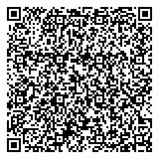 vCard 79397101334