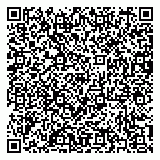 vCard 79397101335
