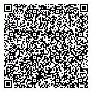 vCard 79397101339