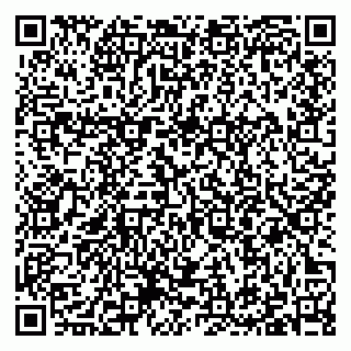 vCard 79397101353