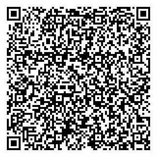 vCard 79397101381