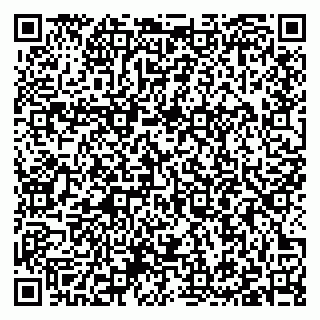 vCard 79397101385