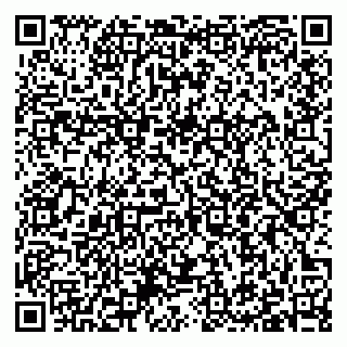 vCard 79397101387