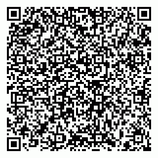 vCard 79397101411