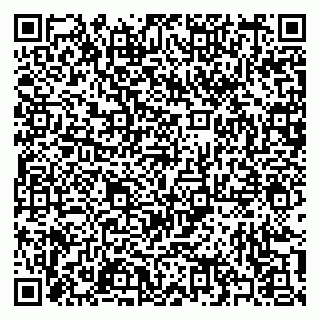 vCard 79397101713