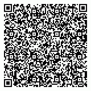 vCard 79397101835