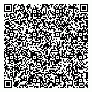vCard 79397101874