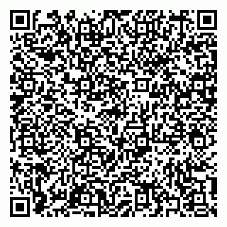 vCard 79397101890