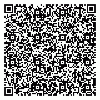 vCard 79397101894