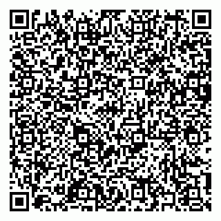 vCard 79397101933