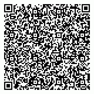 vCard 79397101985